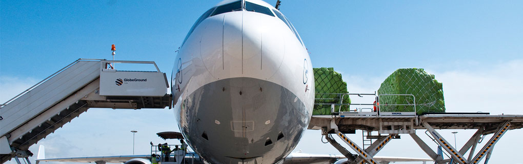 Colaboradores experientes em todos os regimes do desembaraço aduaneiro. / We count on specialists in Customs Advisory and Customs Clearance ready to provide you with the greatest assistance. 